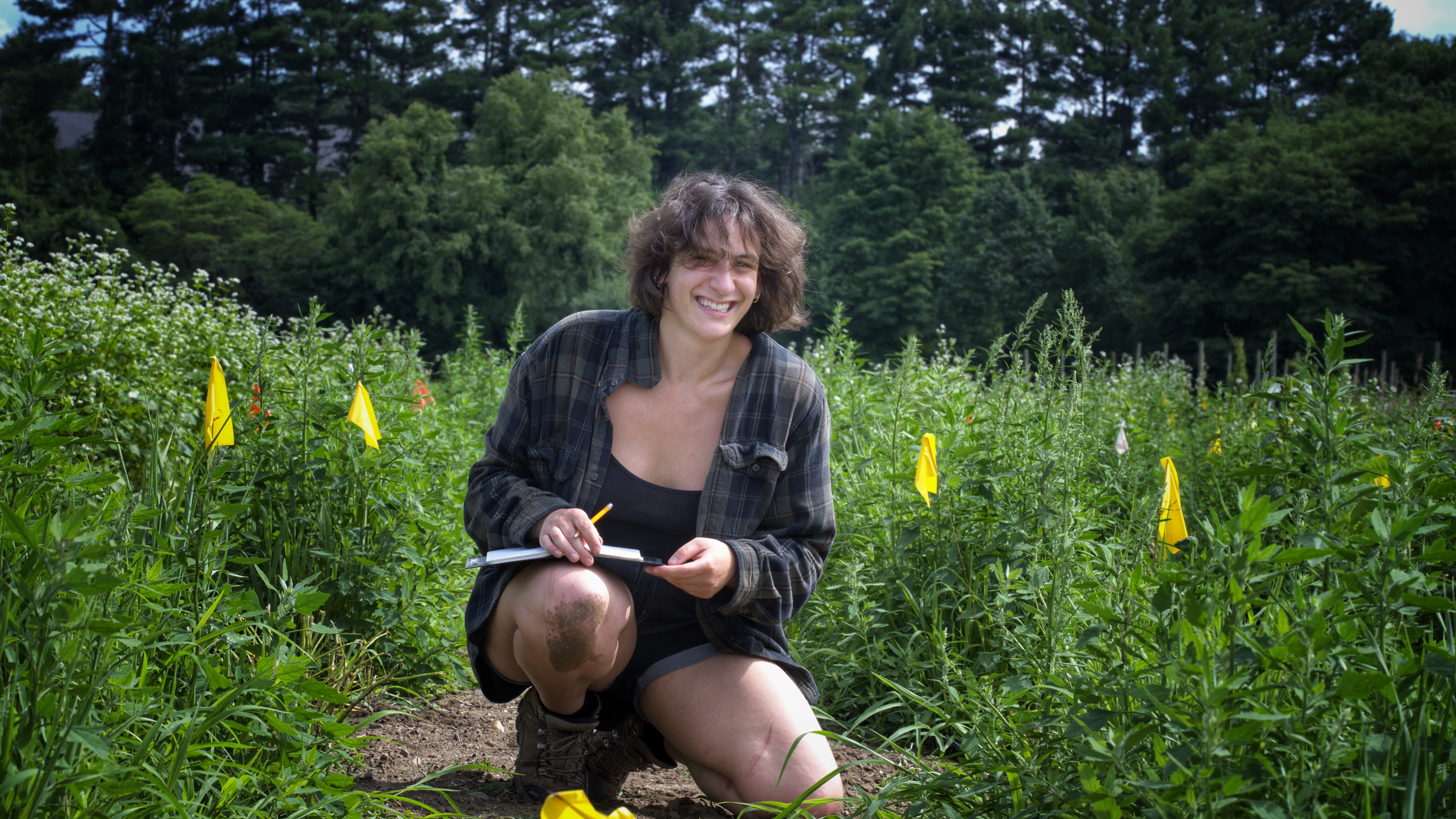 Ollie Leibovich | Collecting data in an on farm trail— Summer 2024
